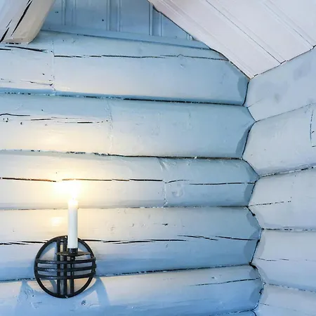 Log In The Heart Of Drammensmarka * Drammen