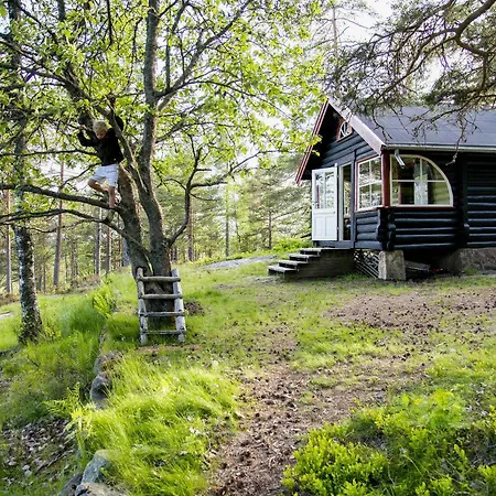 Log In The Heart Of Drammensmarka * Drammen